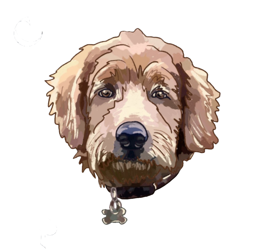Clay and Oak Jewelry brand icon of Oakley the Goldendoodle